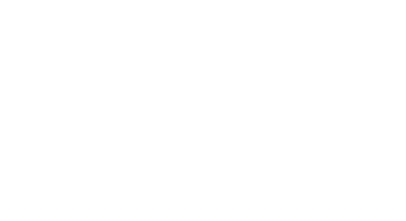 OptiZapp